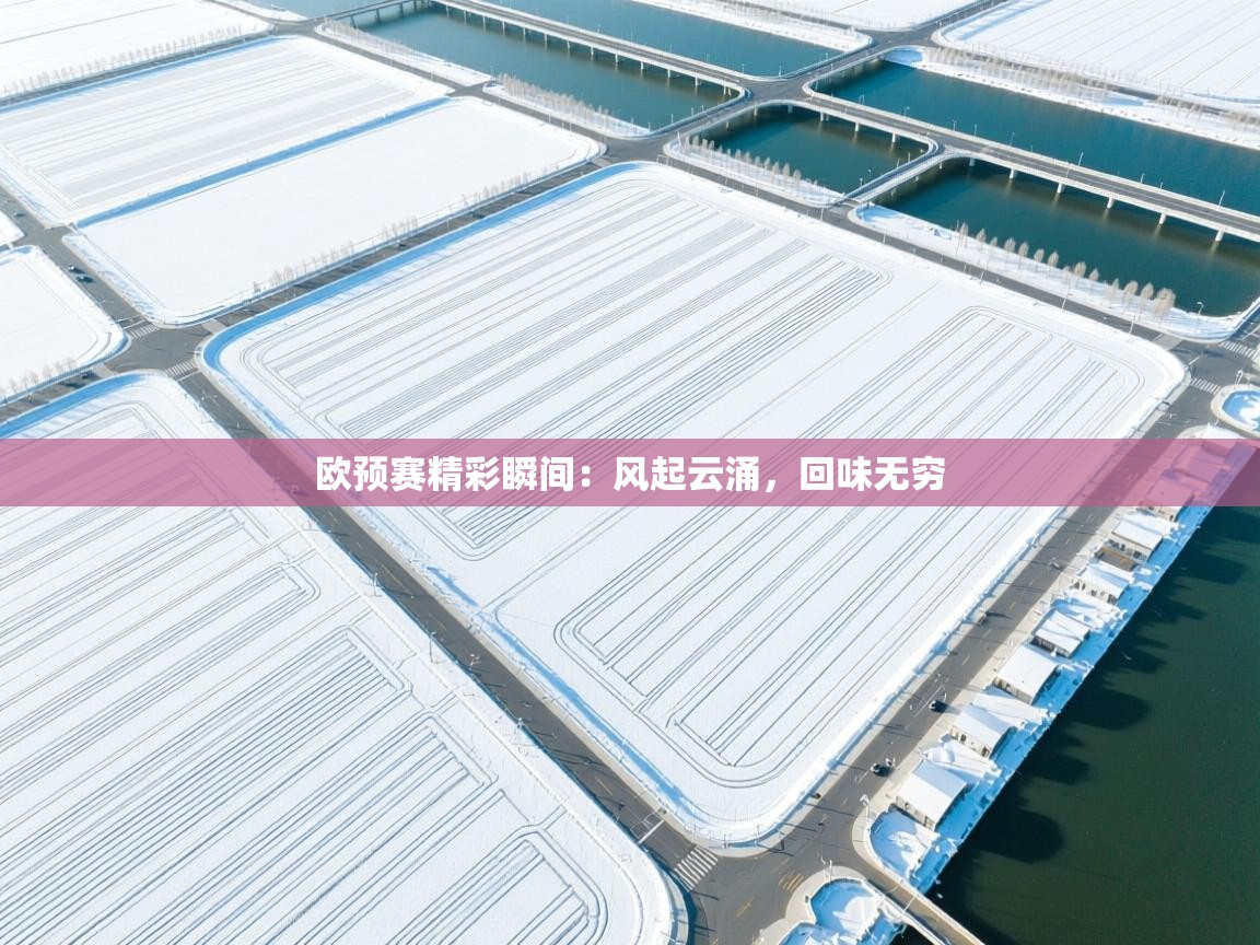 开云体育入口手机版-欧预赛精彩瞬间：风起云涌，回味无穷  第3张