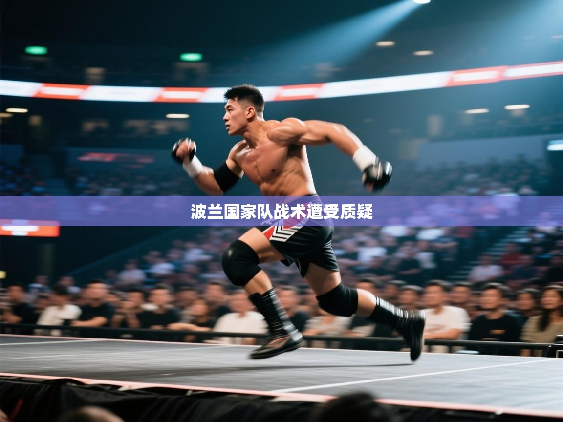 开云体育app下载地址-波兰国家队战术遭受质疑  第4张